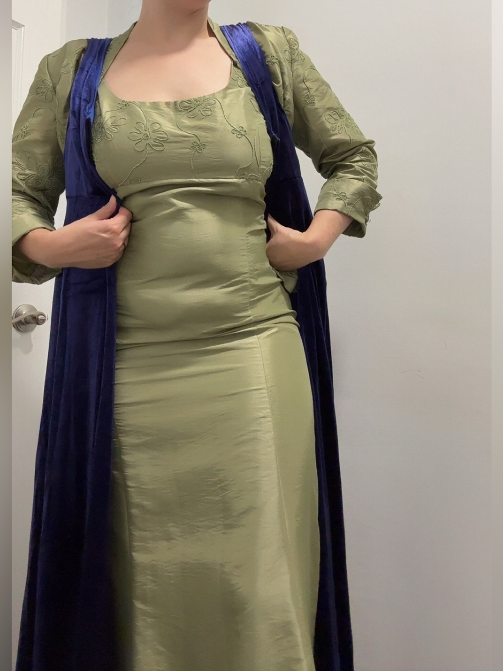 Velvet regency pelisse duster - Picture 3 of 8